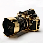Amazing Gold Videos Amazing Gold Videos