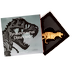 2022 3 oz Chad Dissected Gold-Plated Silver Tyrannosaurus Coin thumbnail