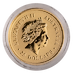 2002 1/4 oz Australian Gold Kangaroo Bullion Coin Test RZ thumbnail