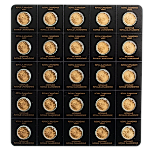 2024 25 x 1 Gram Canadian Maplegram25 Gold Bullion Coin Pack
