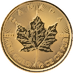 2020 1/2 oz Canadian Gold Maple Leaf Bullion Coin thumbnail