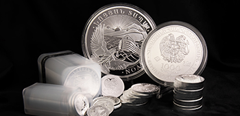 silver noah's ark