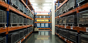 vault